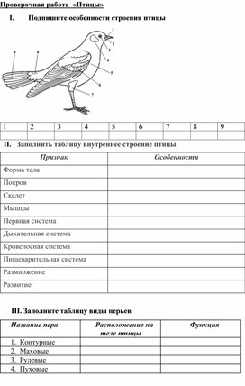 Обложка для материала Проверочная работа "Птицы" 8класс