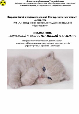 Обложка для материала Приложение к проекту "Этот милый мурлыка"