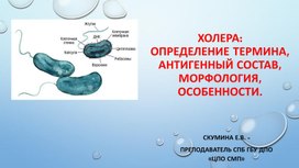 Обложка для материала Холера определение термина, антигенный состав, морфология, особенности