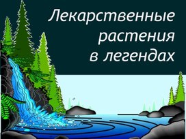 Презентация " Лекарственные растения в легендах"