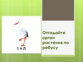 Презентация к уроку по теме "Внешнее и внутреннее строение листа. Значение листьев"