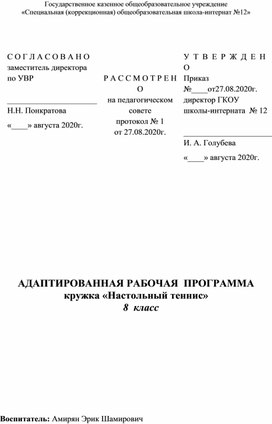 Обложка для материала Адаптированная рабочая программа по кружку "Настольный теннис"