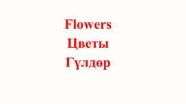 Обложка для материала Flowers>Цветы>Гүлдөр