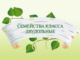 Семейства двудольные, 7 класс