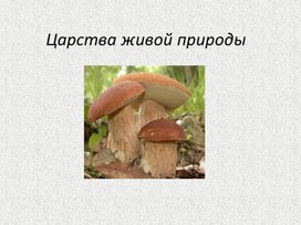 Обложка для материала 4 класс. Презентация Грибы