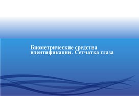 Информационная биометрическая безопасность