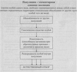 Материал к урокам  биологии