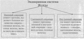 Материал к урокам  биологии