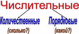 Разработка урока русского языка в 7 кл казахской школе