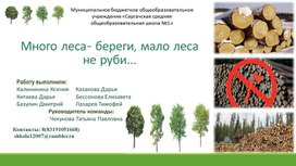 Презентация ""Много леса БЕРЕГИ