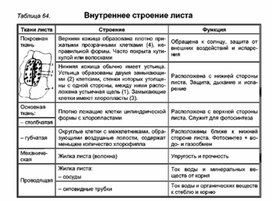 Обложка для материала Биология в таблицах