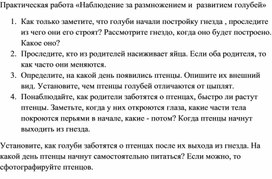 Наблюдение за размножением и развитием голубей.