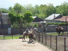Обложка для материала Экскурсия по заповеднику