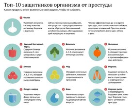 Обложка для материала 10 защитников организма