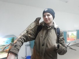 Обложка для материала Экскурсия в террариум «Эти забавные животные».