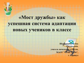 Обложка для материала «Мост дружбы» как успешная система адаптации новых учеников в классе
