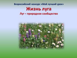 Презентация к уроку окружающего мира по теме  "Луг"