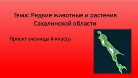 Обложка для материала Исследовательский проект "Животные и растения Сахалинской области"