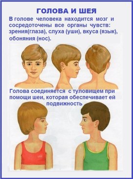 Обложка для материала зож