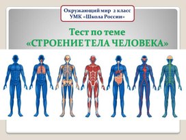 Обложка для материала строение тела человека