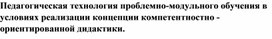 Обложка для материала Педагогическая технология проблемно-модульного обучения в условиях реализации концепции компетентностно - ориентированной дидактики.