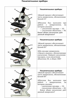 Увеличительные приборы. Микроскоп