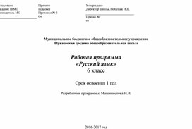 Рабочая программа по русскому языку 6 класс по Т. А. Ладыженской