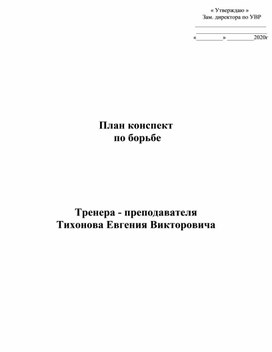 План конспект "Игры с набивными мячами в самбо".