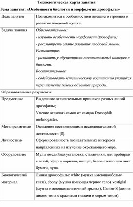 Особенности биологии и морфологии дрозофилы