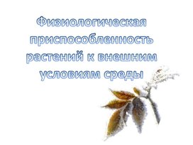 Презентация "Физиологическая приспособленность растений к внешним условиям среды"