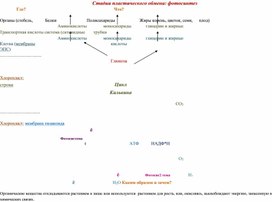 Дидактический материал "Пластический обмен: фотосинтез"