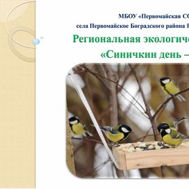 Обложка для материала Экологическая акция "Синичкин день - 2025"