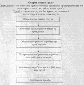 Материал к урокам  биологии