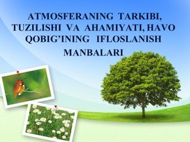 Talabalarga atmosferaning tabiatdagi ahamiyati va uning tirik organizmlarga ta`siri, atmosferani ifloslantiruvchi manbalar, atmosfera ifloslanishining biologik-gigienik, iqtisodiy va ijtimoiy oqibatlari, atmosfera ifloslanishiga qarshi kurash yo`llari va usullari