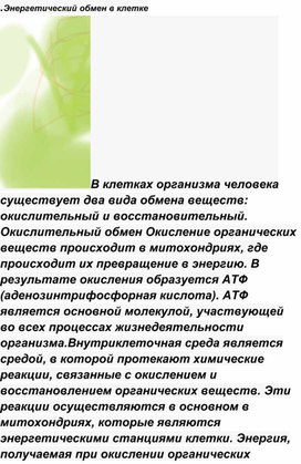 Обложка для материала Энергетический обмен в клетке
