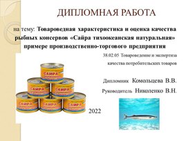 Обложка для материала Презентация Выпускной квалификационной работы