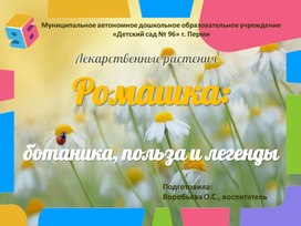 Обложка для материала Презентация "Лекарственные растения. Ромашка: ботаника, польза и легенды"