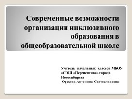 Современные возможности  организации инклюзивного образования в общеобразовательной школе