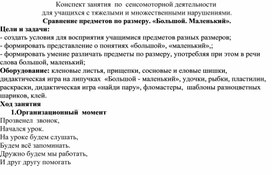 Обложка для материала Конспект занятия  по  сенсомоторной деятельности  для учащихся с тяжелыми и множественными нарушениями.   Сравнение предметов по размеру. «Большой. Маленький».