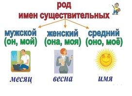 Обложка для материала род имен существительных