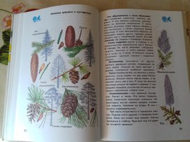 Обложка для материала Атлас