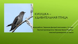 Обложка для материала Исследовательский проект "Удивительная птица-кукушка"