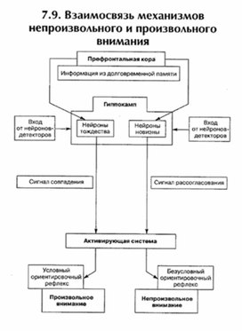 Обложка для материала материал по психофизиологии