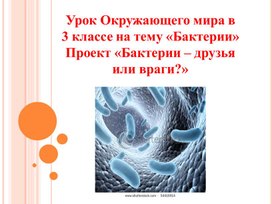 Урок Окружающего мира в 3 классе на тему «Бактерии» Проект «Бактерии – друзья или враги?»