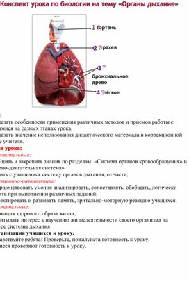 Обложка для материала Органы дыхания