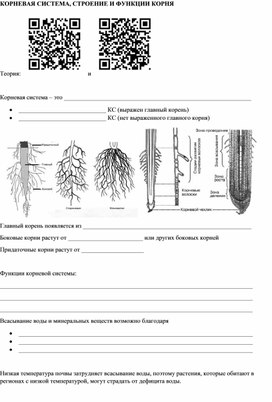 Рабочий лист по теме корень