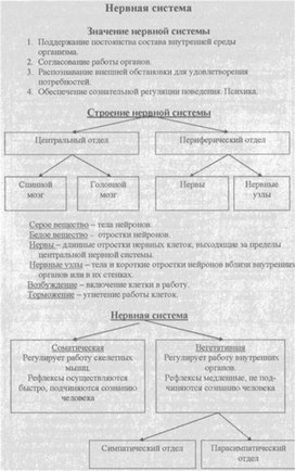 Материал к урокам  биологии