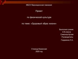 Проект   по физической культуре  по теме: «Здоровый образ жизни»