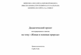 Интегрированное занятие в подготовительной группе