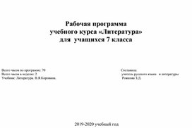 Рабочая программа по литературе